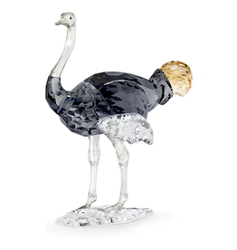 Swarovski Elegance of Africa SCS Ostrich Makena