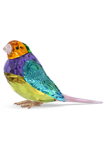 Swarovski Idyllia SCS Gouldian Finch Small