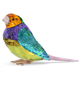 Swarovski Idyllia SCS Gouldian Finch Small