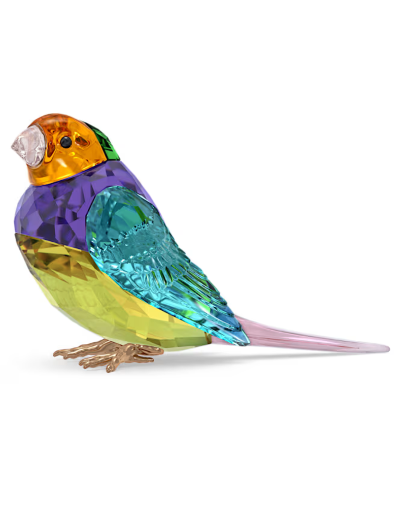 Swarovski Idyllia SCS Gouldian Finch Small