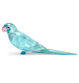 Swarovski Jungle Beats Blue Parakeet Paco