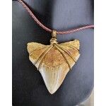 Peaceful Sea Creations PSC Genuine Indonesian Megalodon Tooth Fossil Necklace on Brown Leather Cord