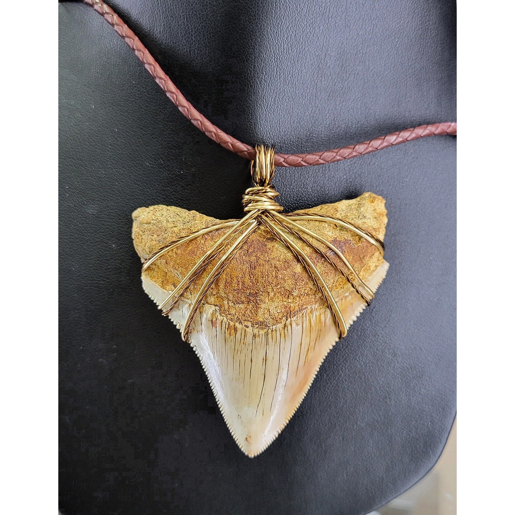 Peaceful Sea Creations PSC Genuine Indonesian Megalodon Tooth Fossil Necklace on Brown Leather Cord