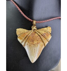 Peaceful Sea Creations PSC Genuine Indonesian Megalodon Tooth Fossil Necklace on Brown Leather Cord