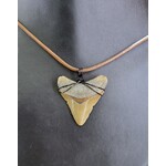 Peaceful Sea Creations PSC Genuine Megalodon Tooth Fossil Necklace, Small Gray/Brown on Brown Leather Cord