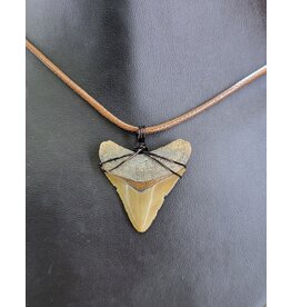 Peaceful Sea Creations PSC Genuine Megalodon Tooth Fossil Necklace, Small Gray/Brown on Brown Leather Cord