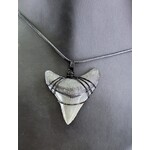 Peaceful Sea Creations PSC Genuine Megalodon Tooth Fossil Necklace Gray/Black on Black Leather Cord