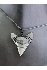 Peaceful Sea Creations PSC Genuine Megalodon Tooth Fossil Necklace Gray/Black on Black Leather Cord