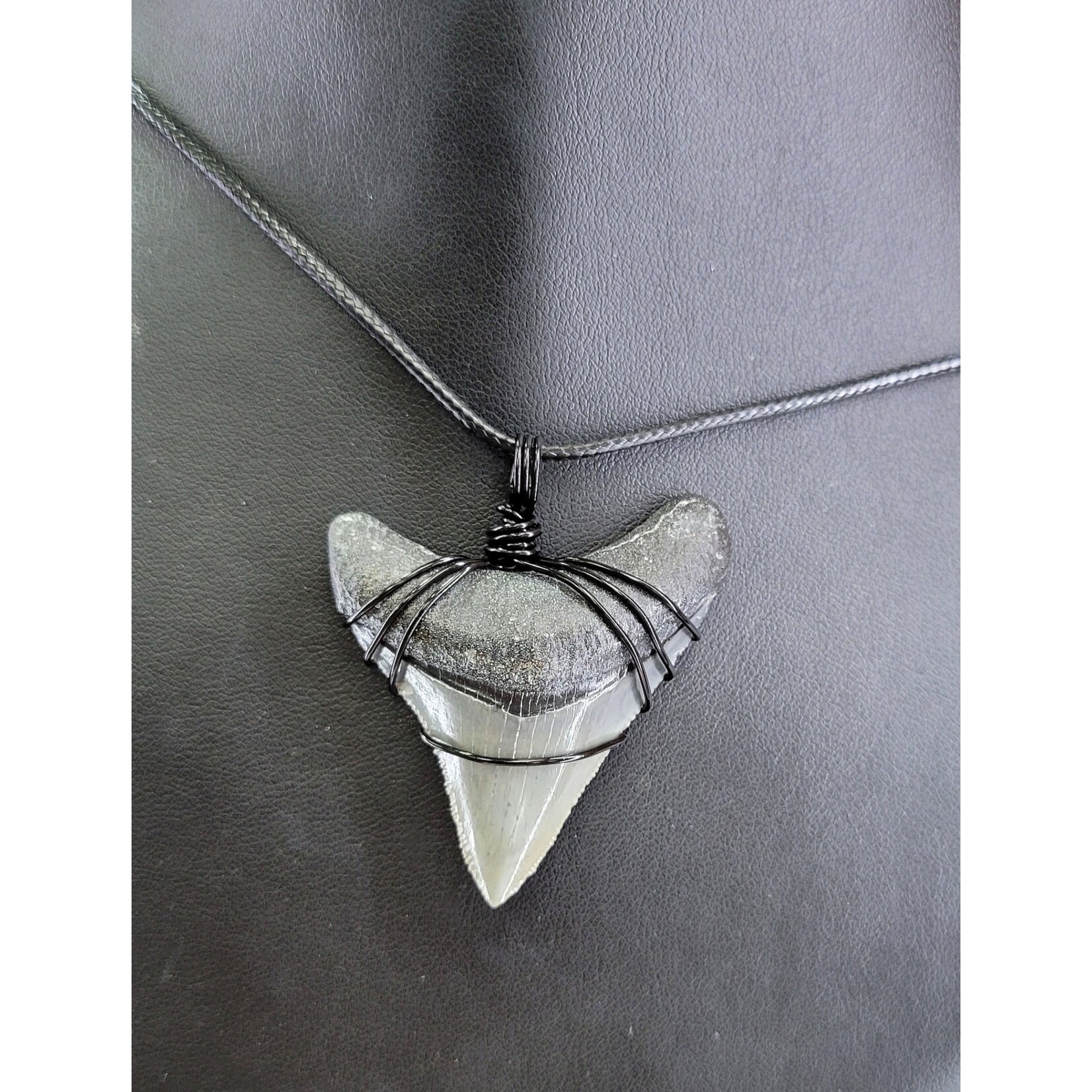 Peaceful Sea Creations PSC Genuine Megalodon Tooth Fossil Necklace Gray/Black on Black Leather Cord