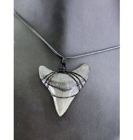 Peaceful Sea Creations PSC Genuine Megalodon Tooth Fossil Necklace Gray/Black on Black Leather Cord