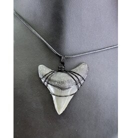 Peaceful Sea Creations PSC Genuine Megalodon Tooth Fossil Necklace Gray/Black on Black Leather Cord