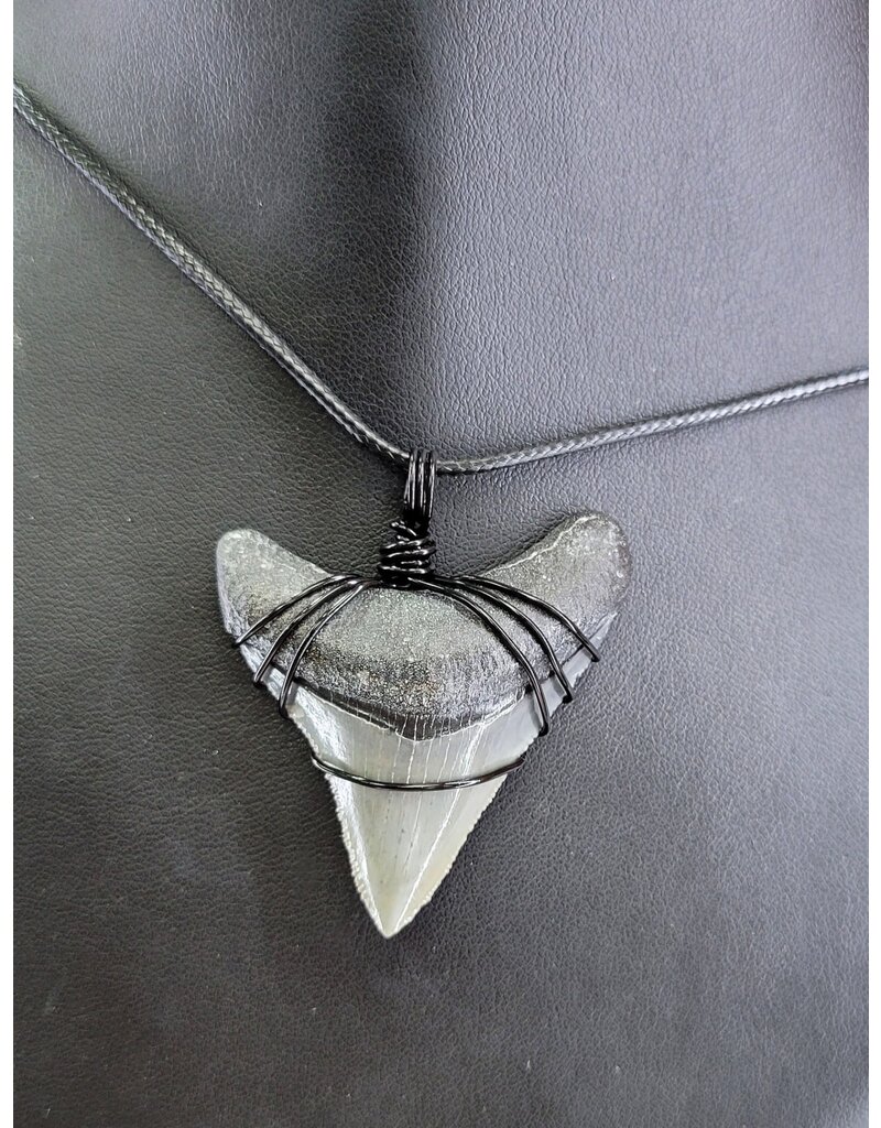 Peaceful Sea Creations PSC Genuine Megalodon Tooth Fossil Necklace Gray/Black on Black Leather Cord