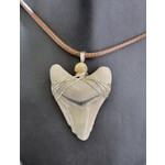 Peaceful Sea Creations PSC Genuine Megalodon Tooth Fossil Necklace (Gray), Silvertone Wire, Soft Brown Leather Cord