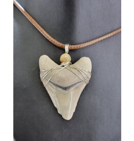 Peaceful Sea Creations PSC Genuine Megalodon Tooth Fossil Necklace (Gray), Silvertone Wire, Soft Brown Leather Cord