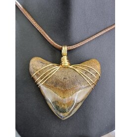 Peaceful Sea Creations PSC Genuine Megalodon Polished Tooth Fossil Necklace, Goldtone Wire, Soft Brown Leather Cord