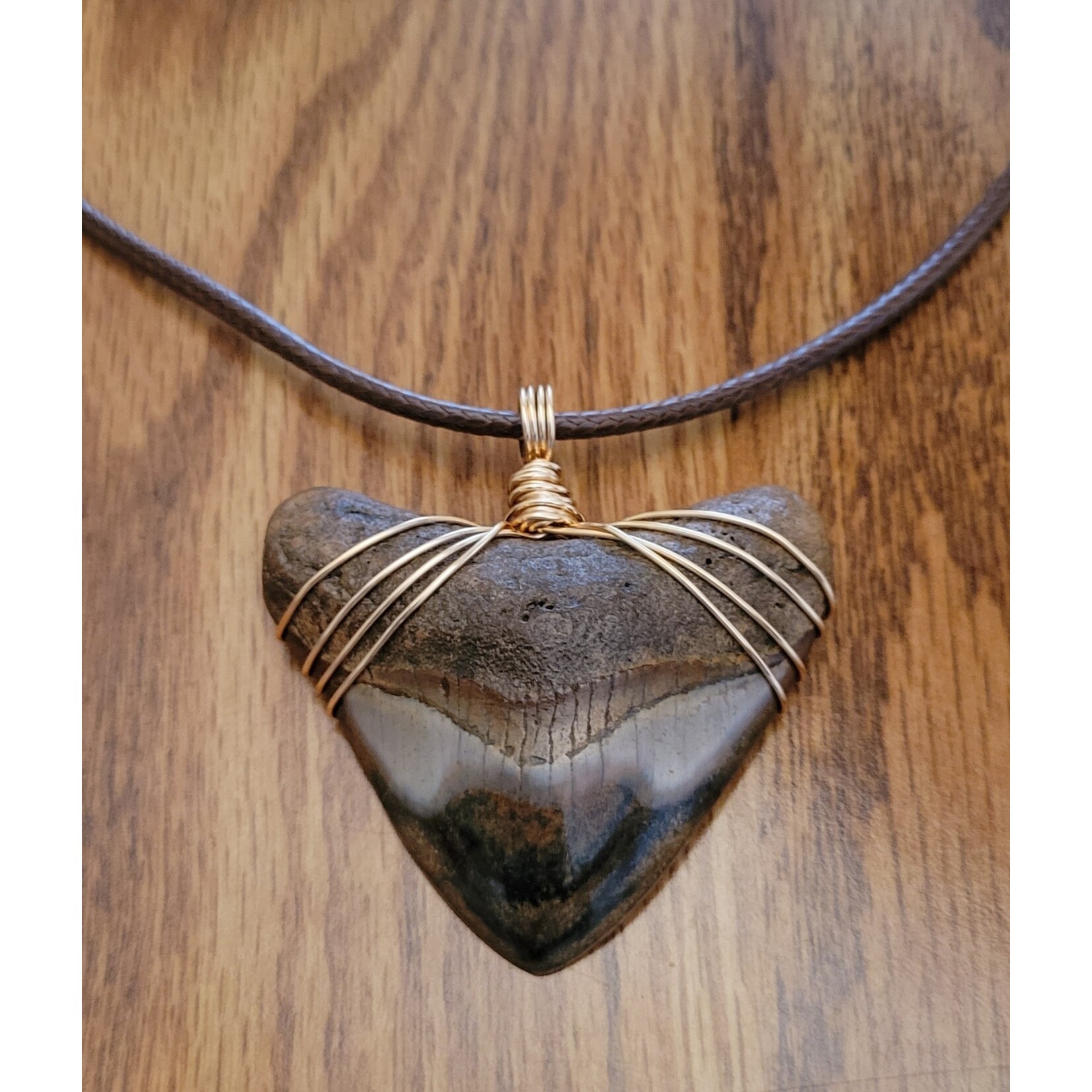 Peaceful Sea Creations PSC Genuine Megalodon Polished Tooth Fossil Necklace, Goldtone Wire, Soft Brown Leather Cord