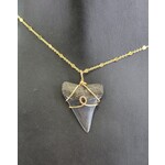 Peaceful Sea Creations PSC Genuine Great White Shark Fossil Necklace on Goldtone Chain
