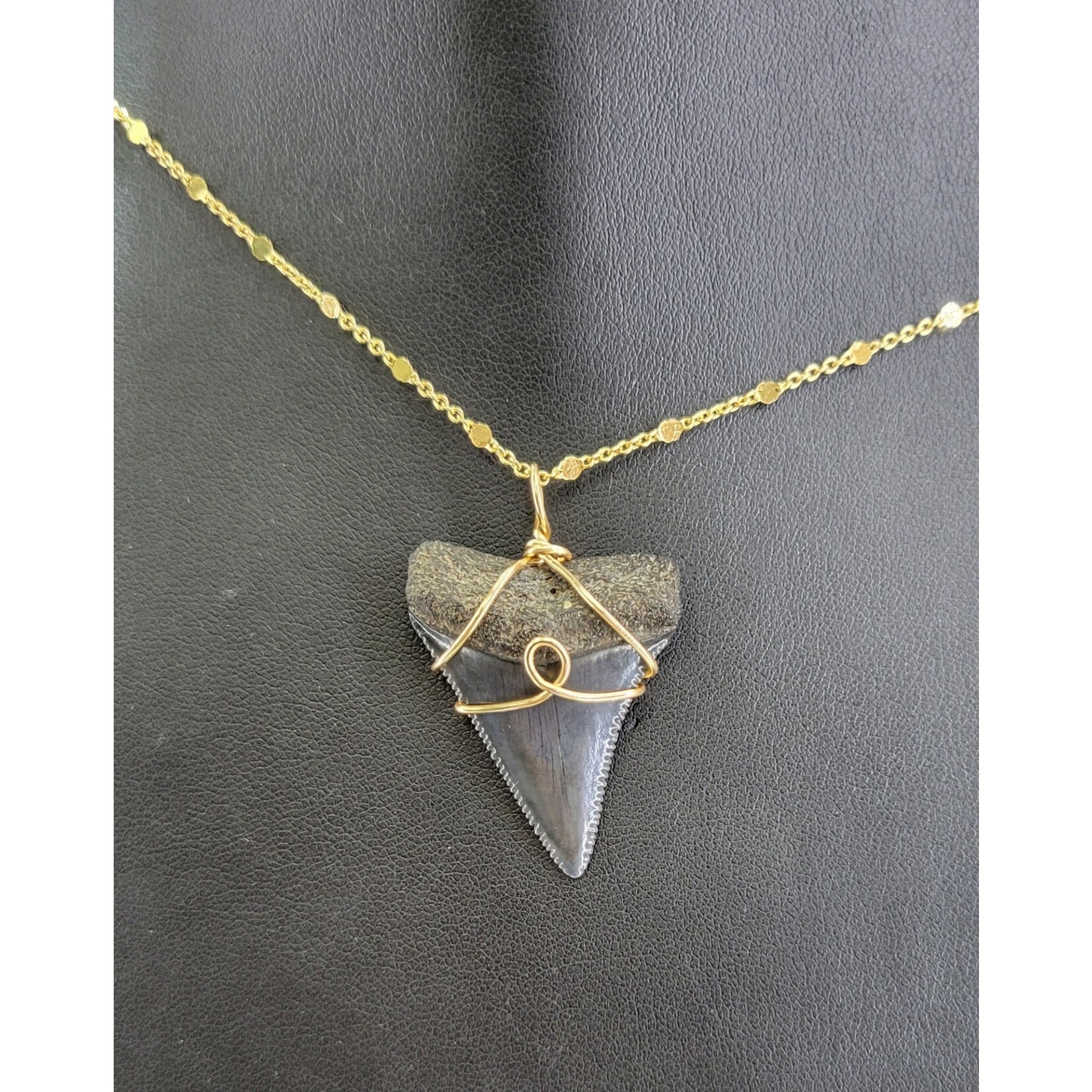 Peaceful Sea Creations PSC Genuine Great White Shark Fossil Necklace on Goldtone Chain