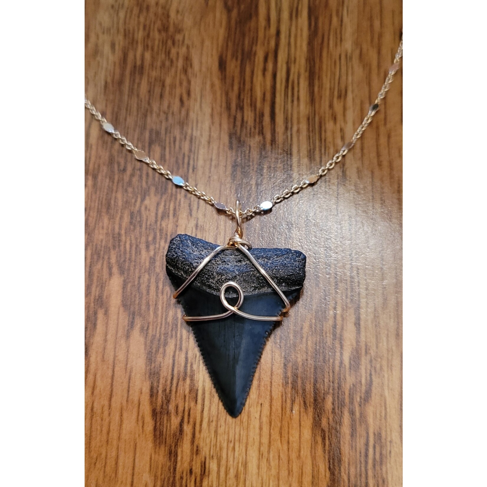 Peaceful Sea Creations PSC Genuine Great White Shark Fossil Necklace on Goldtone Chain