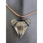 Peaceful Sea Creations PSC Genuine Megalodon Polished Tooth Fossil Necklace, Black Wire, Soft Brown Leather Cord
