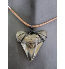 Peaceful Sea Creations PSC Genuine Megalodon Polished Tooth Fossil Necklace, Black Wire, Soft Brown Leather Cord