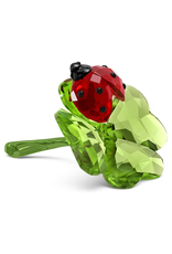 Swarovski Idyllia Ladybug and Clover