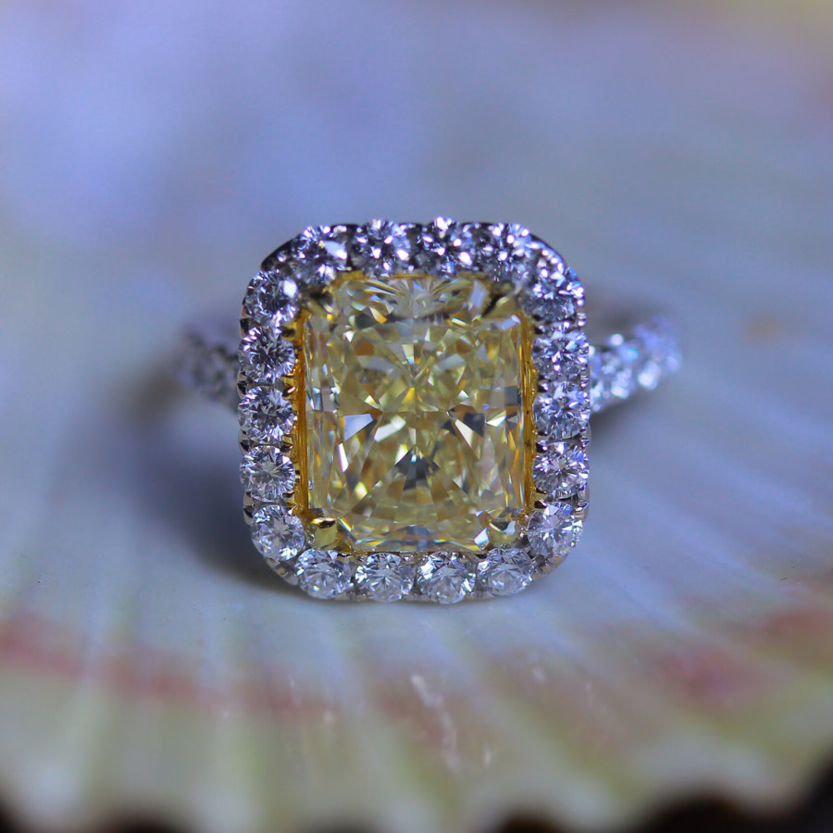Frederic Sage 18 Karat White Gold Radiant Yellow Diamond Halo Ring