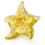 Swarovski Idyllia SCS 2025 Starfish