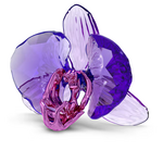 Swarovski Idyllia SCS 2025 Orchid Petal