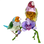 Swarovski Idyllia SCS Annual Edition 2024 Gouldian Finches