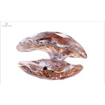 Swarovski Vintage Rose Pearl Oyster