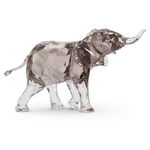 Swarovski Elegance of Africa SCS Elephant Baby Mandisa