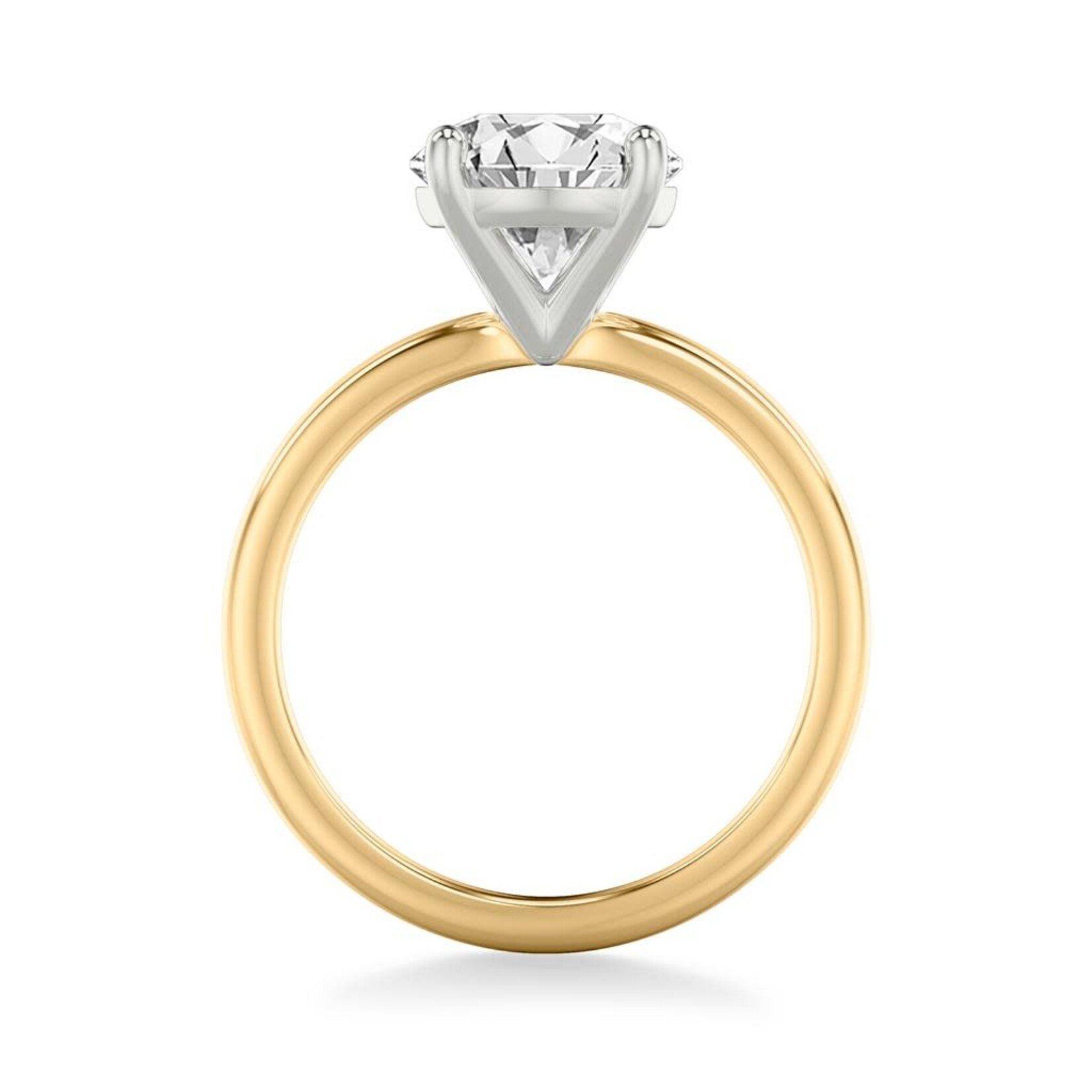 Classic Solitaire Engagement Ring with Polished Shank