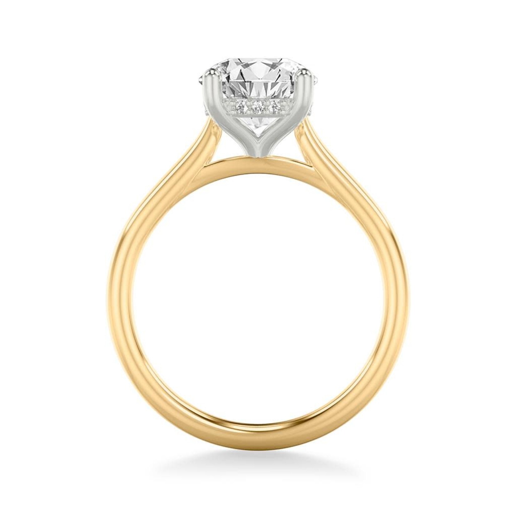 Round Hidden Halo Solitaire Engagement Ring