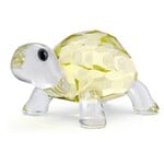 Swarovski Baby Tortoise