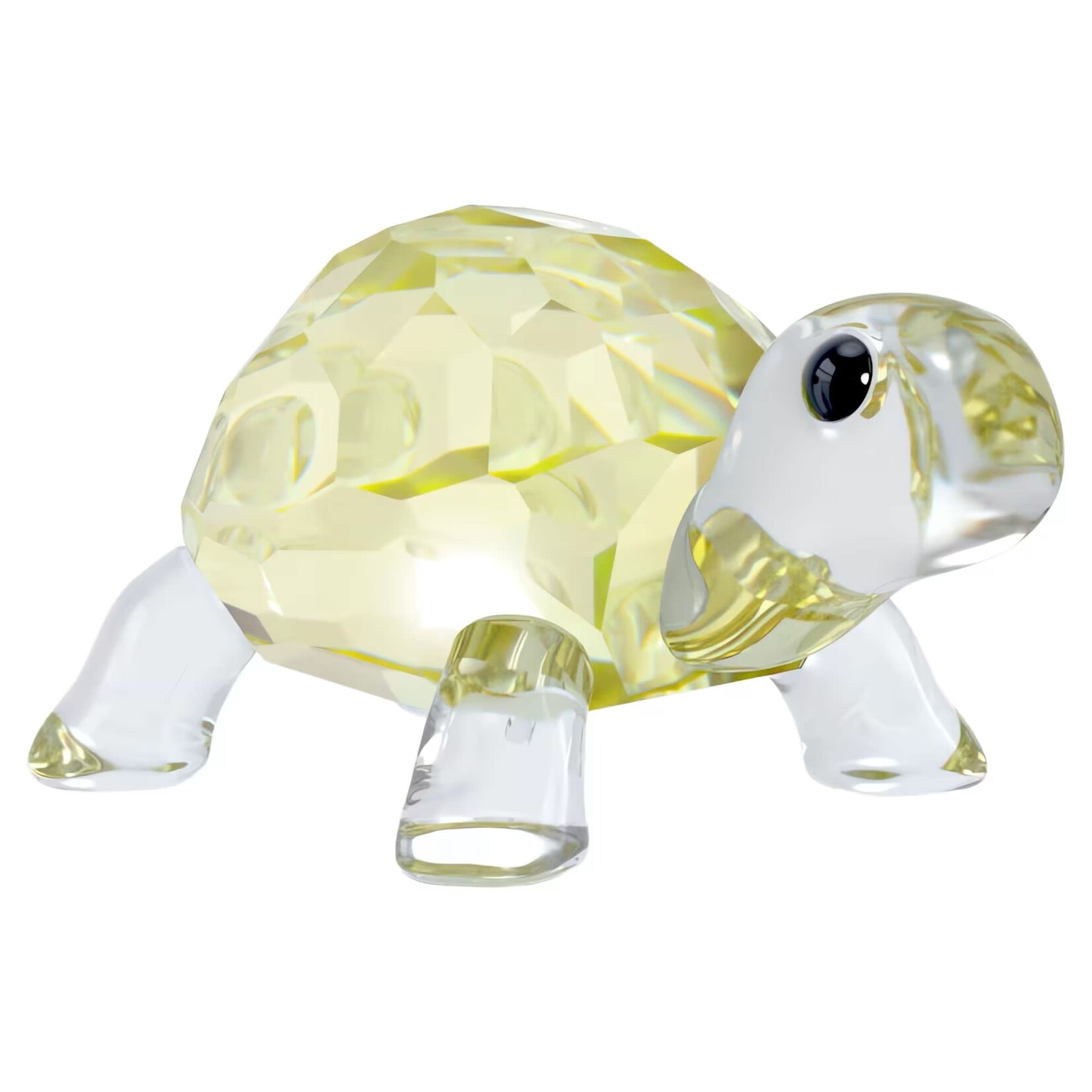 Swarovski Baby Tortoise