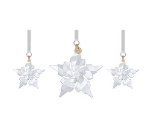Swarovski #5583966 Annual Edition 2021 Ornament Set - Blase