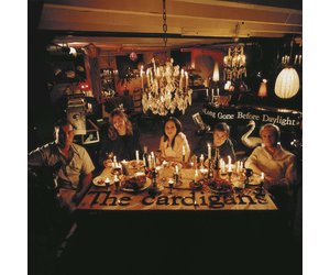 The Cardigans - Long Gone Before Daylight (Vinyl) - Pop Music