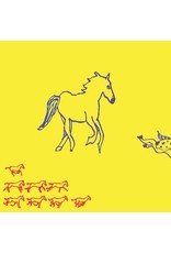 Dehd - Water (Exclusive Ice Blue Vinyl)