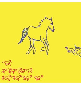 Dehd - Water (Exclusive Ice Blue Vinyl)