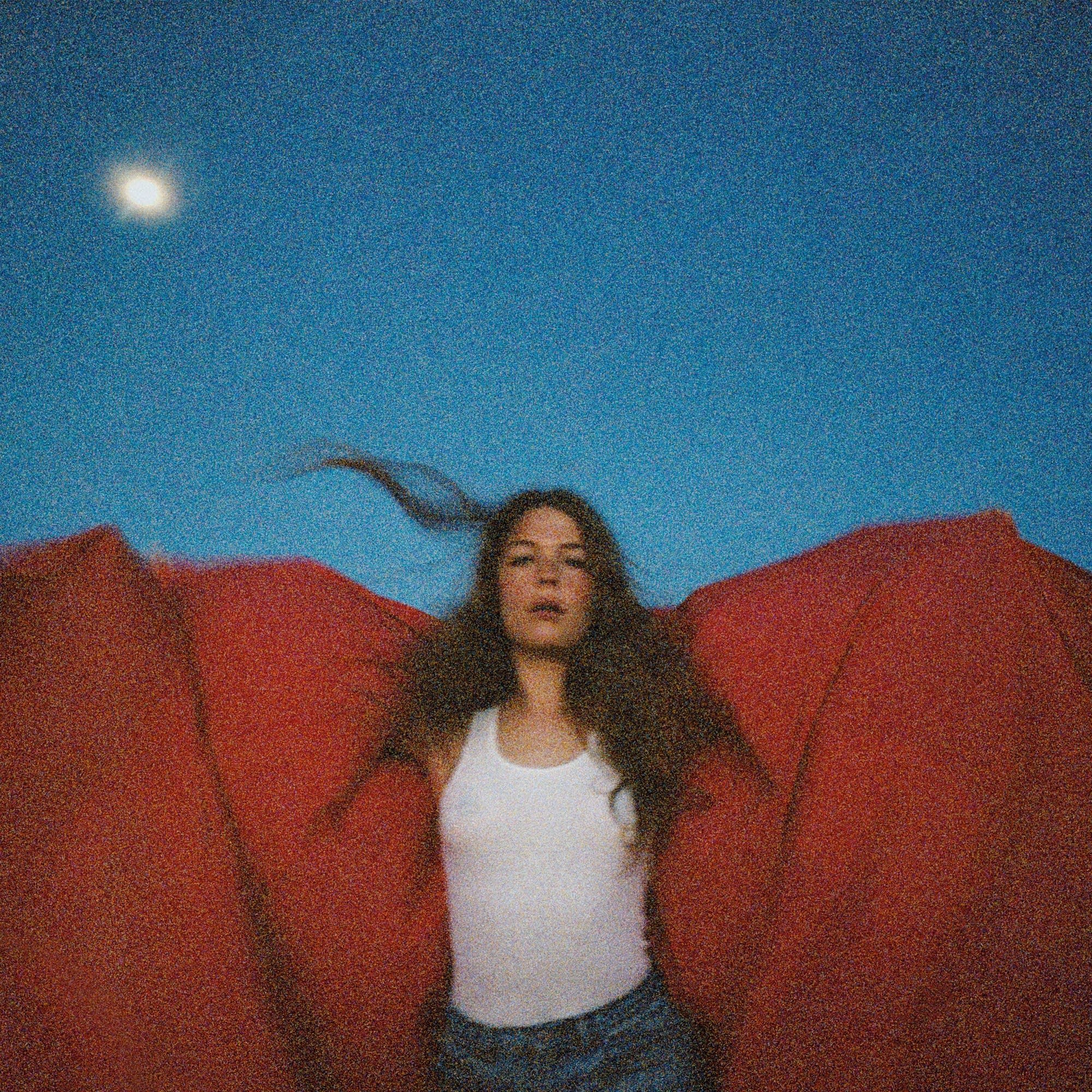 Maggie Rogers Heard It In A Past Life (Vinyl) Pop Music