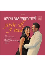 Marvin Gaye & Tammi Terrell - You're All I Need