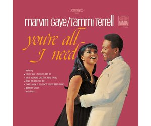 Marvin Gaye & Tammi Terrell - You're All I Need - Pop Music