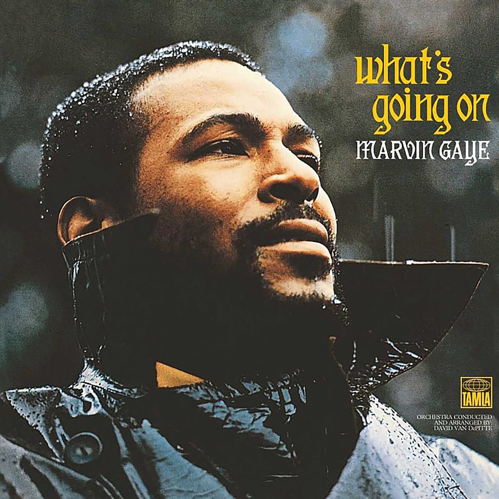 Marvin Gaye - What's Going On (Vinyl) - Pop Music