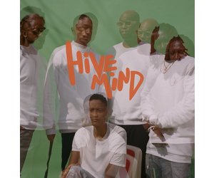 Internet - Hive Mind (Vinyl) - Pop Music
