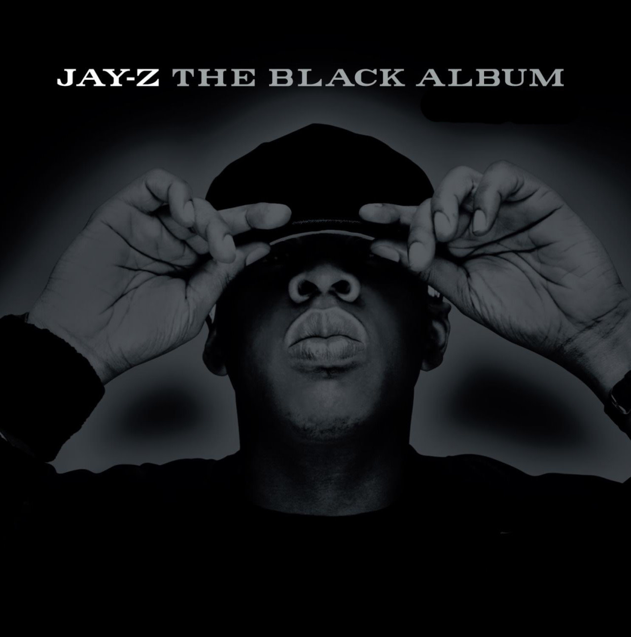 JayZ The Black Album (Vinyl) Pop Music