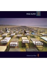 Pink Floyd - Momentary Lapse of Reason