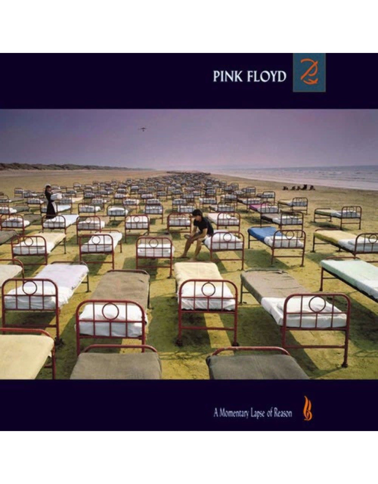 Pink Floyd - Momentary Lapse of Reason