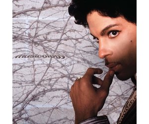 Prince Musicology 日本盤 ロング ボックス　台湾盤？ Prince - Musicology (Purple Vinyl) - Pop Music