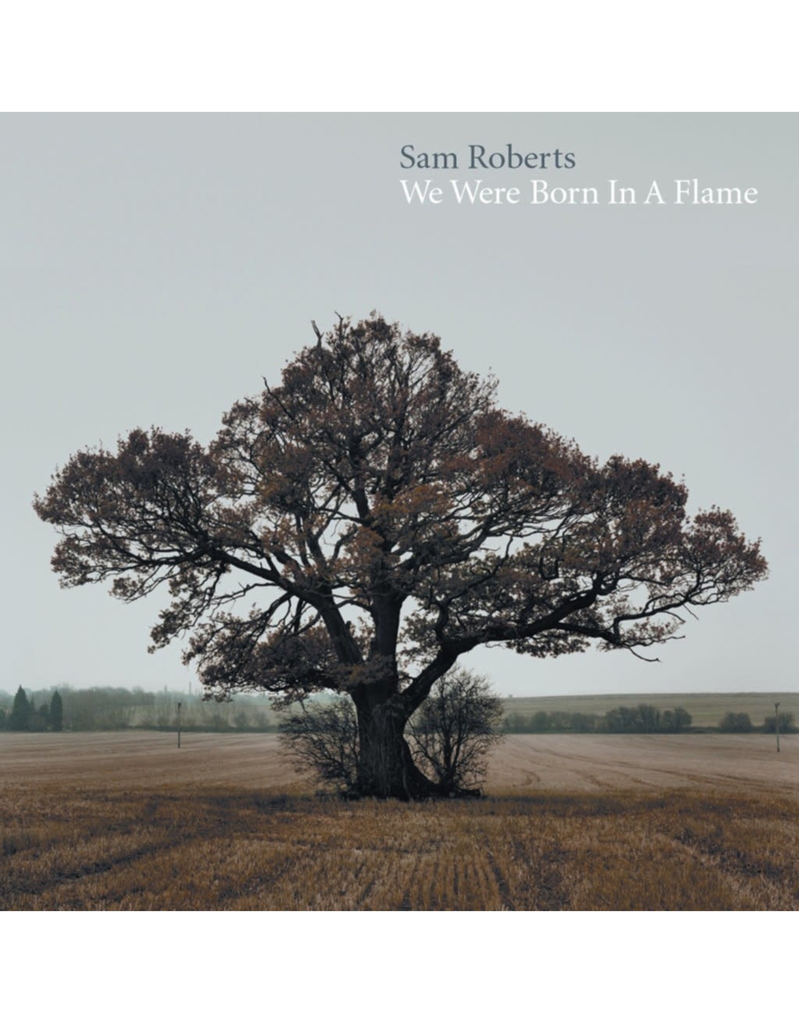 Sam Roberts - We Were Born In a Flame Deluxe Expanded 3LP)
